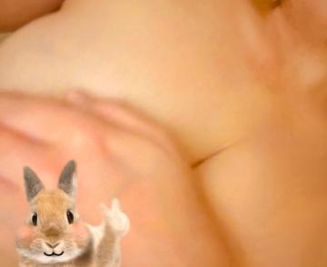 ハニークラブ ちびさん