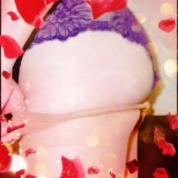 すみれ ソニーさん